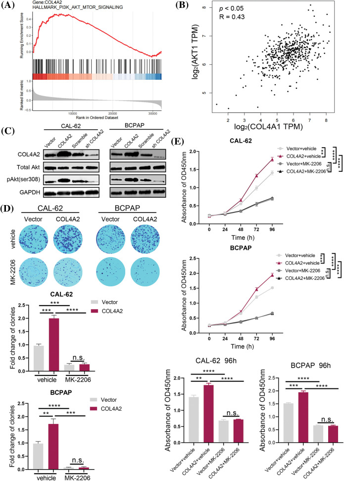 PMC11361908 – fig-4