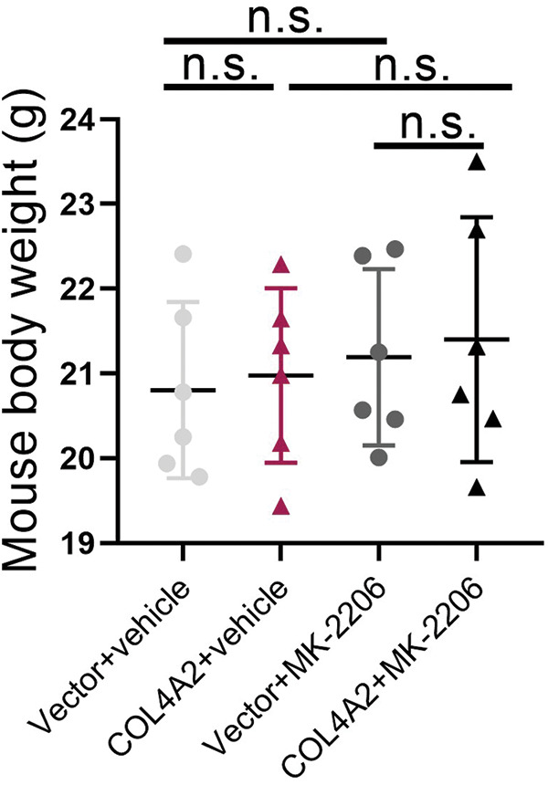 PMC11361908 – fig-7
