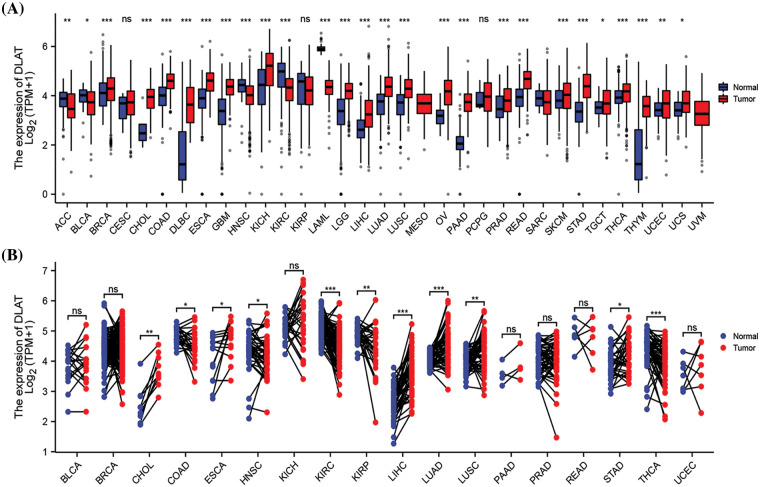 PMC11576973 – fig-1