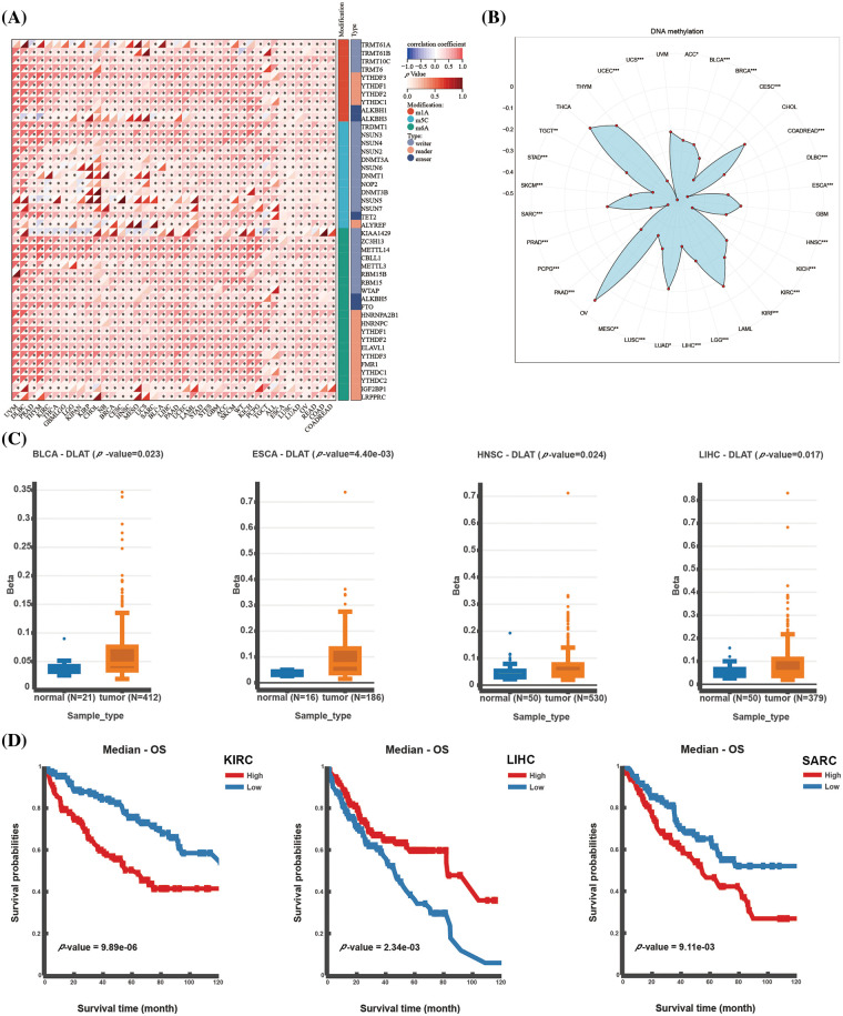 PMC11576973 – fig-2