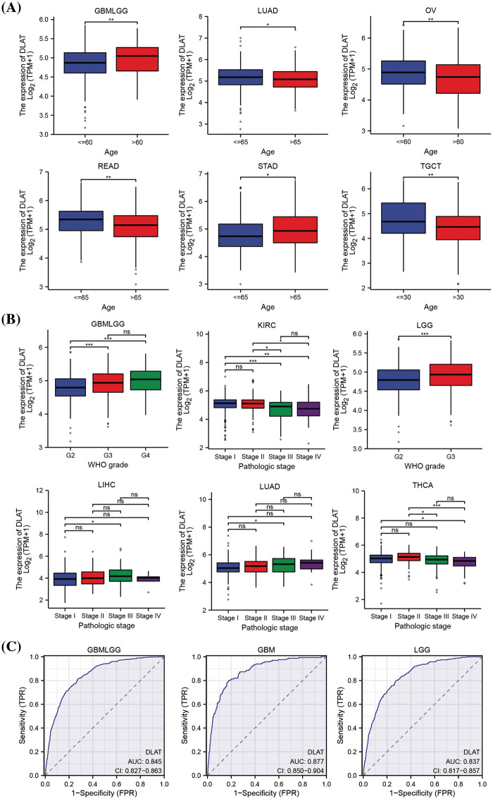 PMC11576973 – fig-4