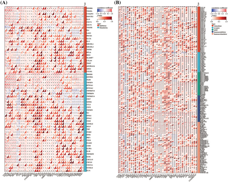 PMC11576973 – fig-8