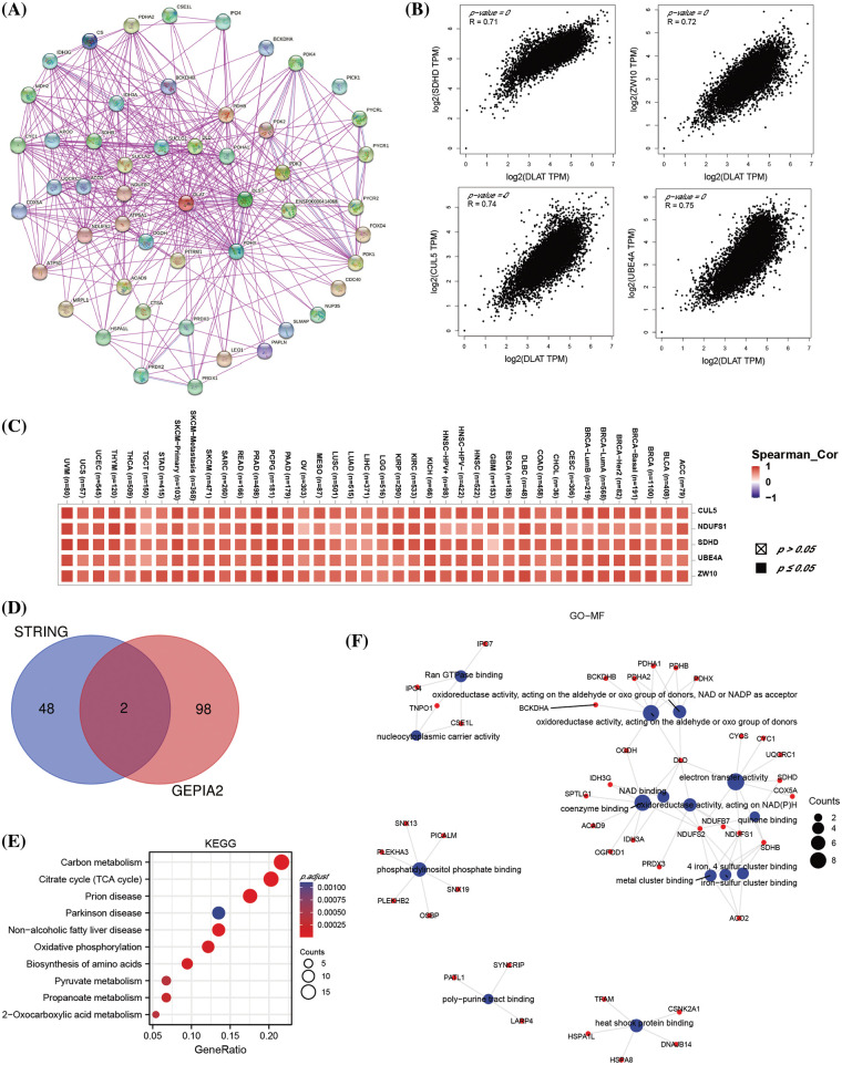 PMC11576973 – fig-9