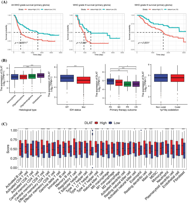 PMC11576973 – fig-10