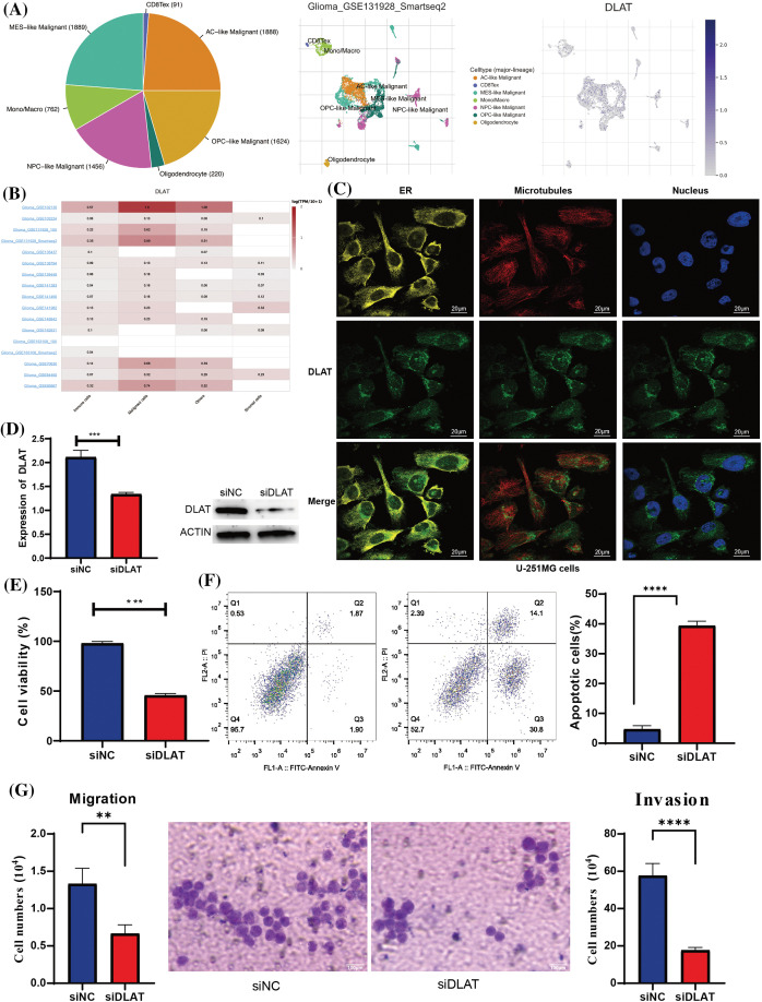 PMC11576973 – fig-11