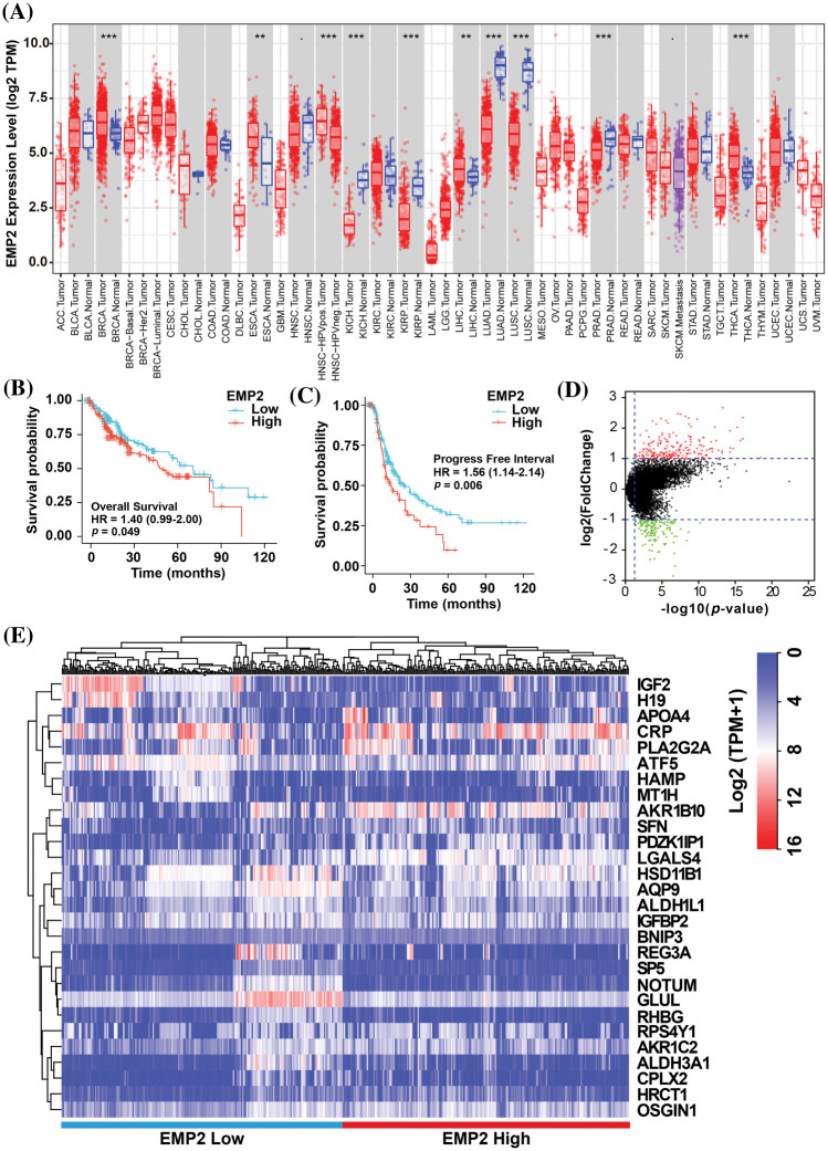 PMC11754002 – fig-2