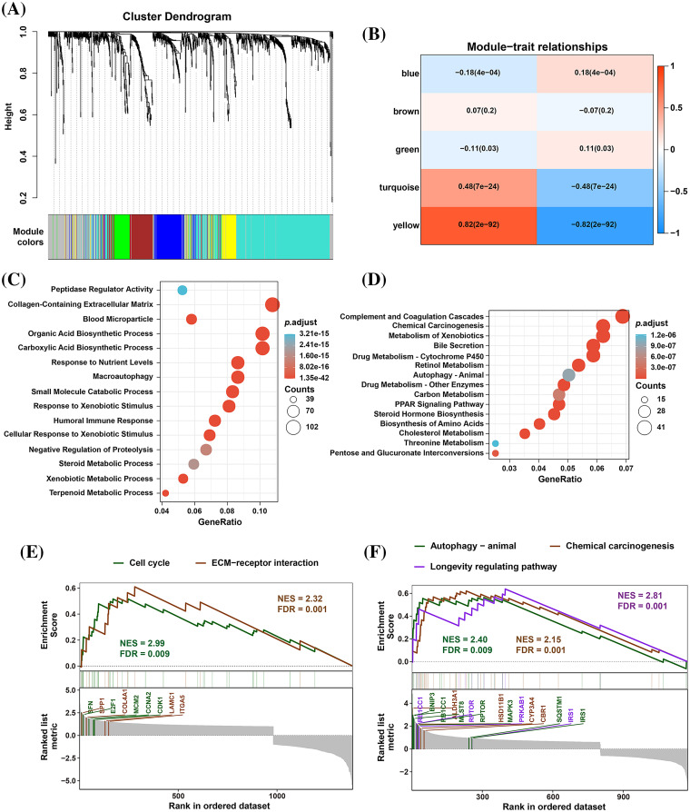 PMC11754002 – fig-3