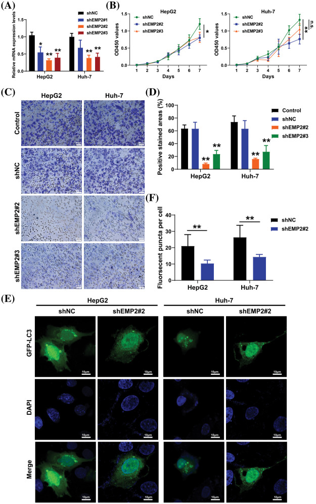 PMC11754002 – fig-5