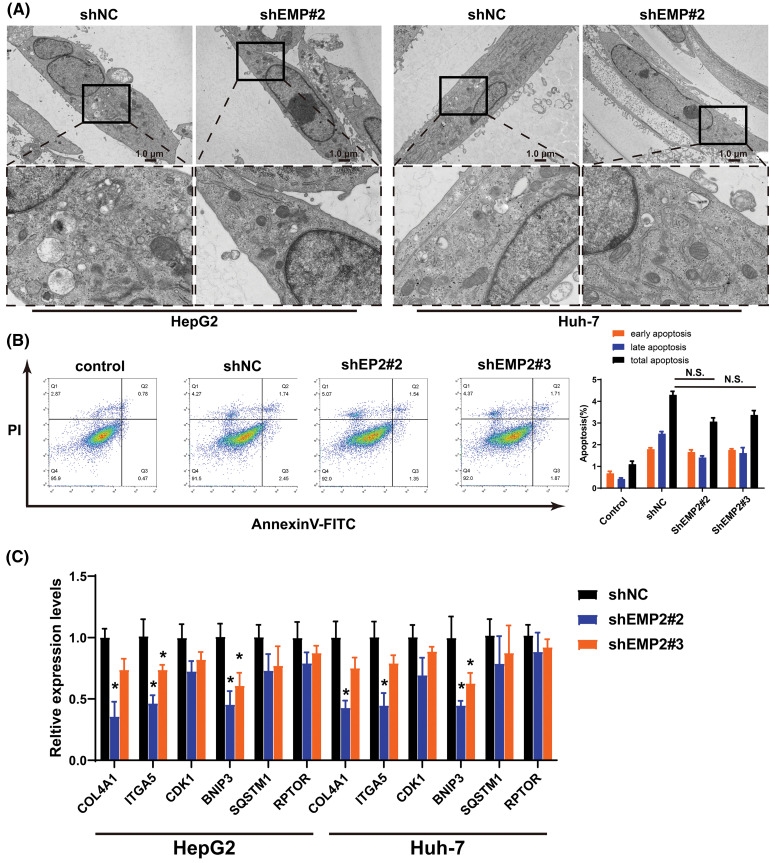 PMC11754002 – fig-6