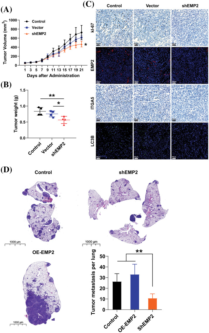 PMC11754002 – fig-8