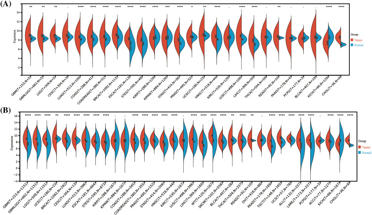 PMC11671622 – fig-1