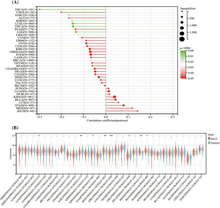 PMC11671622 – fig-3