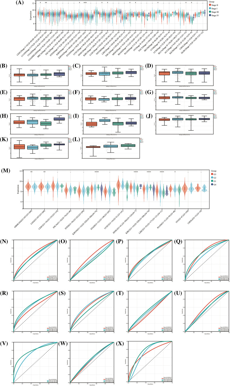 PMC11671622 – fig-4