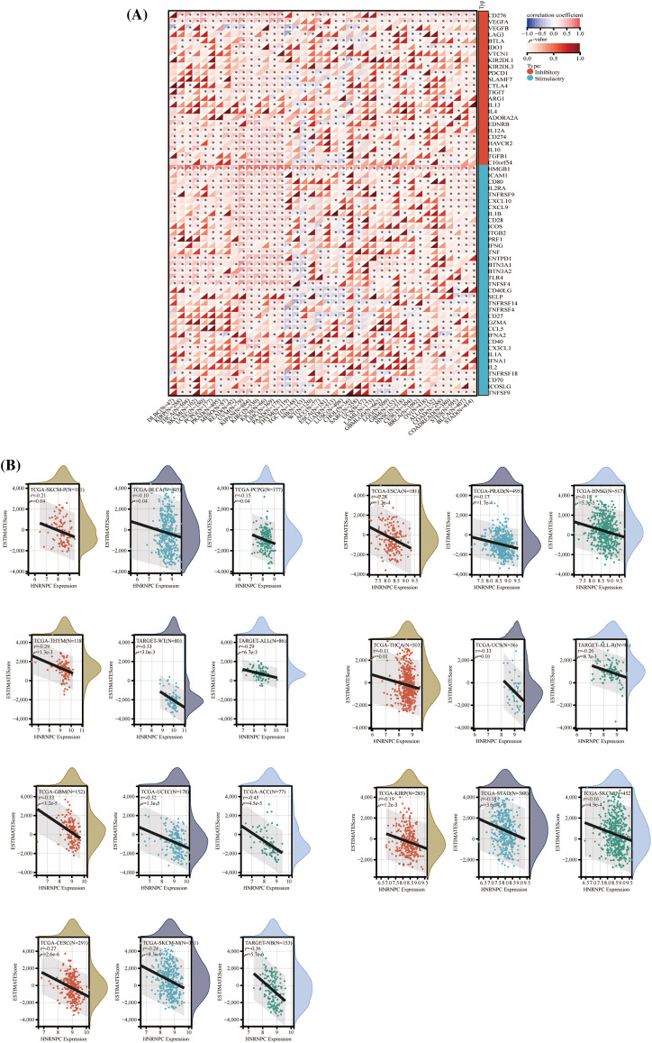 PMC11671622 – fig-5
