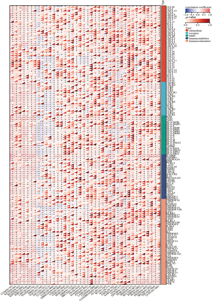 PMC11671622 – fig-7
