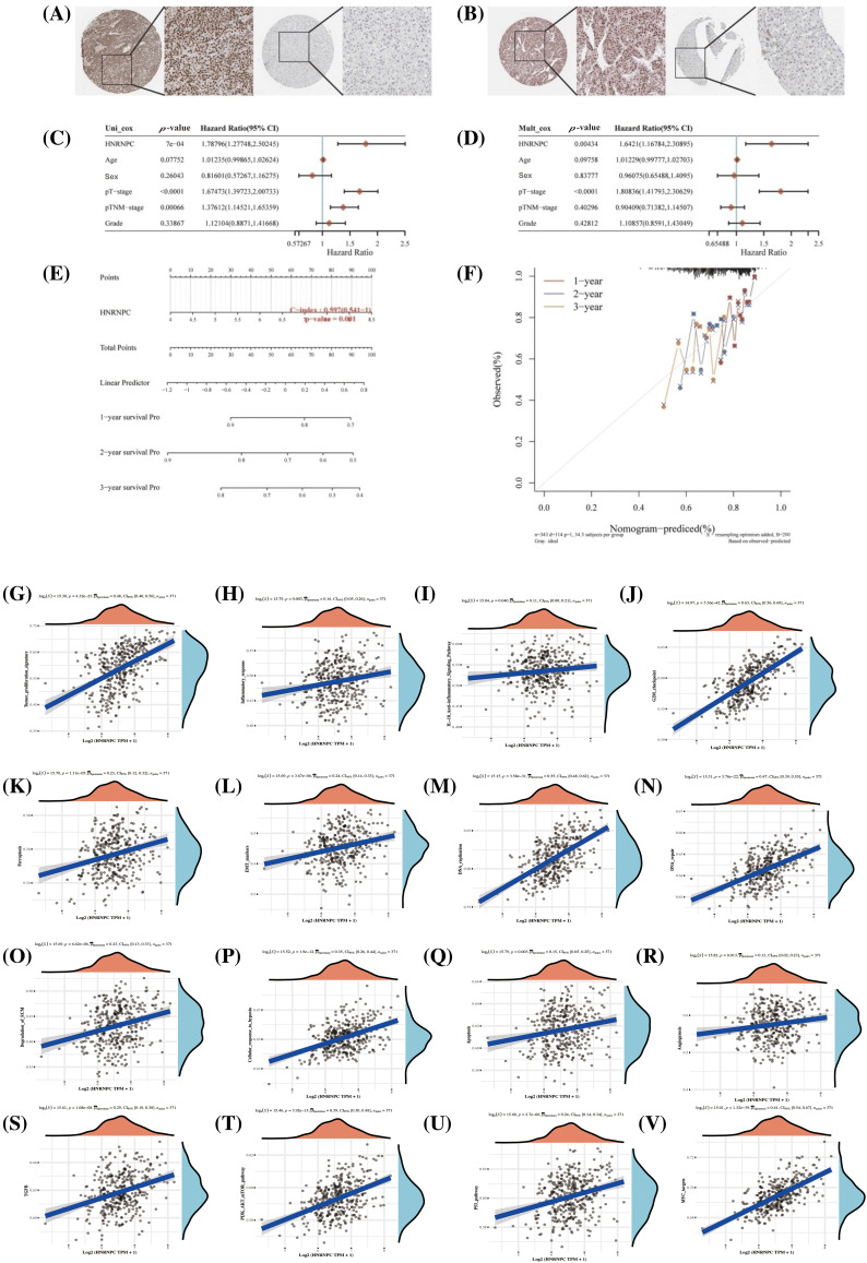 PMC11671622 – fig-9