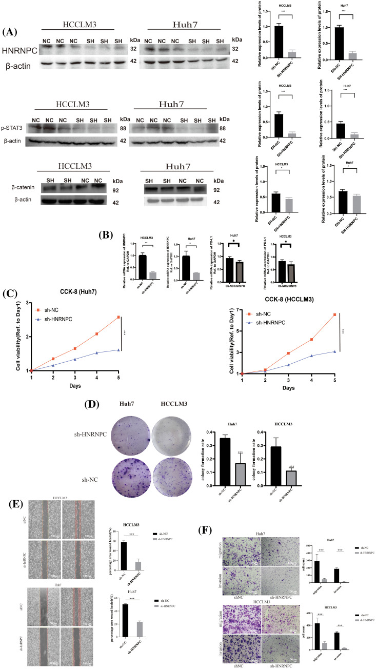 PMC11671622 – fig-10