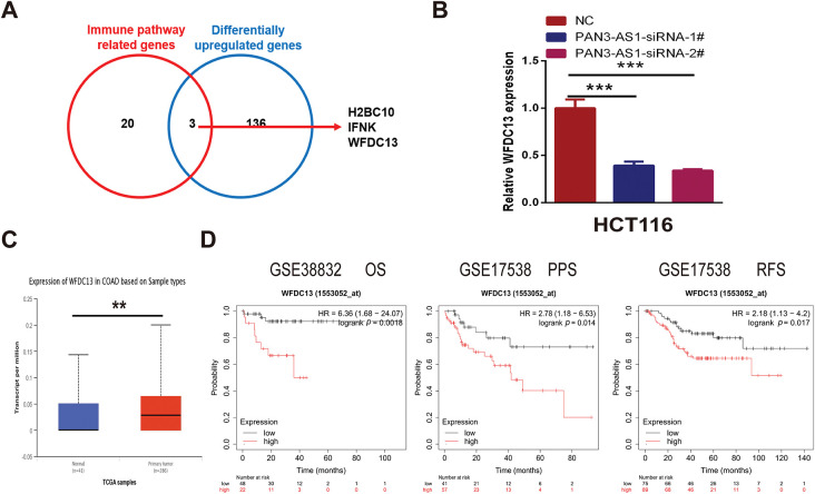 PMC12774545 – fig-8