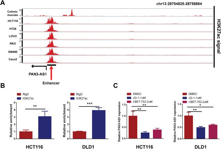 PMC12774545 – fig-10