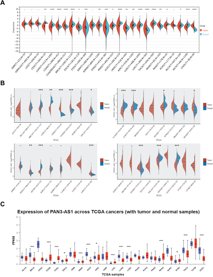 PMC12774545 – fig-13