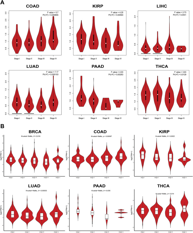 PMC12774545 – fig-14