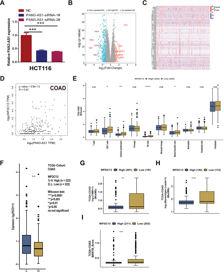 PMC12774545 – fig-15