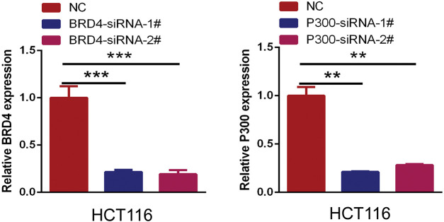PMC12774545 – fig-18