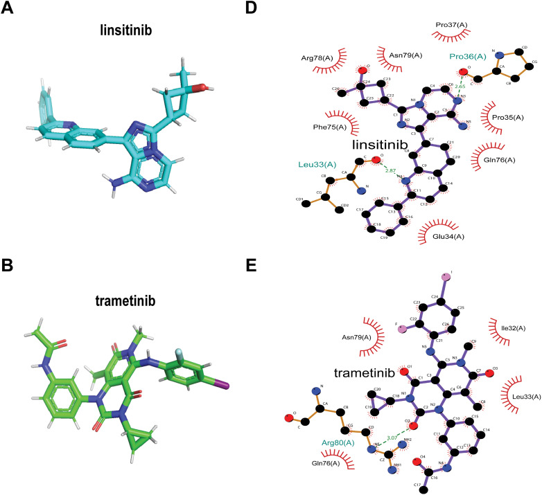 PMC12774545 – fig-19