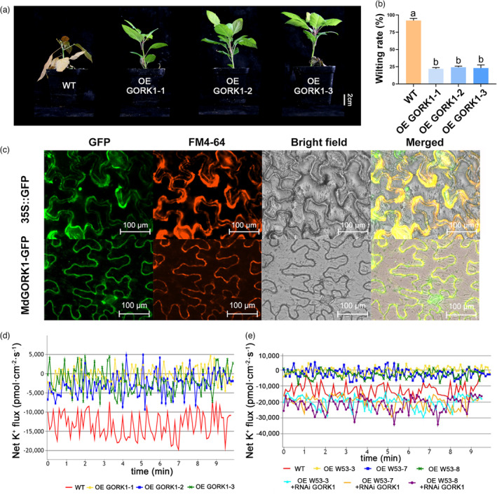 PMC10579713 – pbi14129-fig-0005