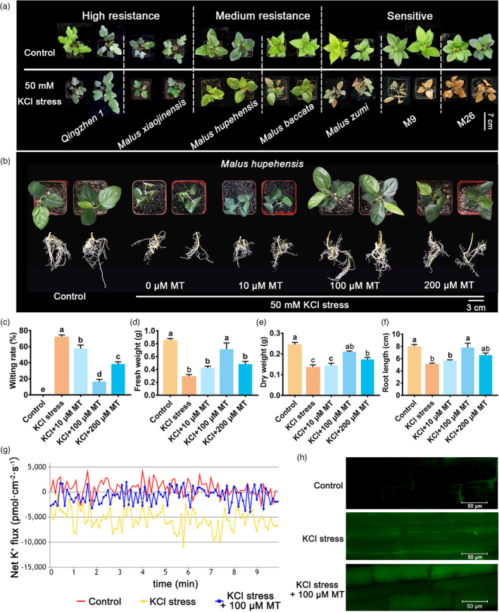 PMC10579713 – pbi14129-fig-0001