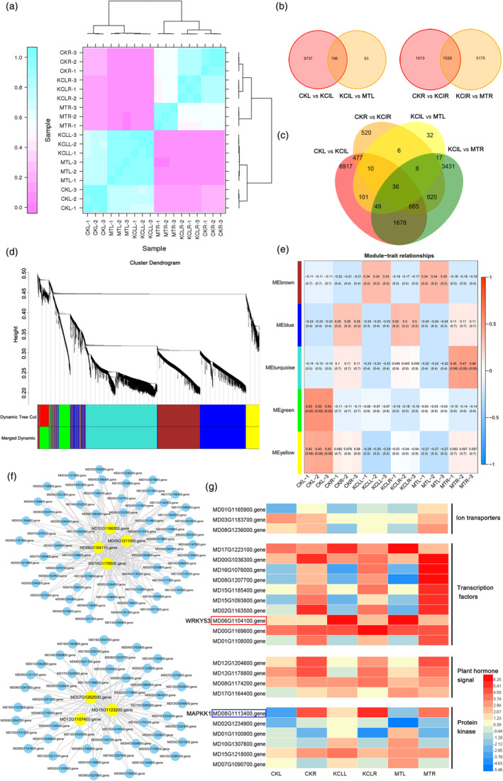 PMC10579713 – pbi14129-fig-0002