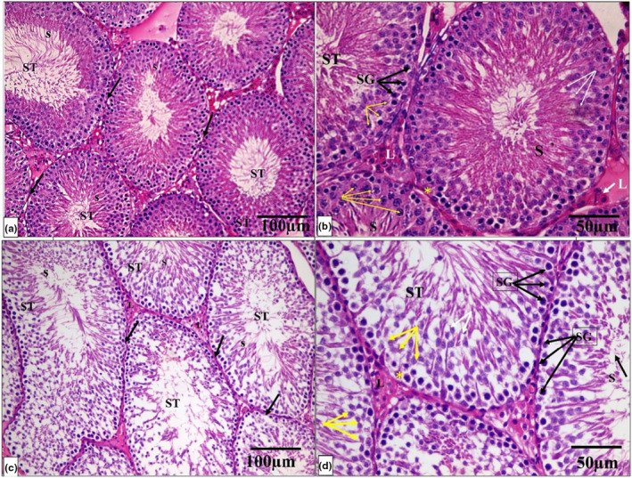 PMC10808778 – phy215923-fig-0004