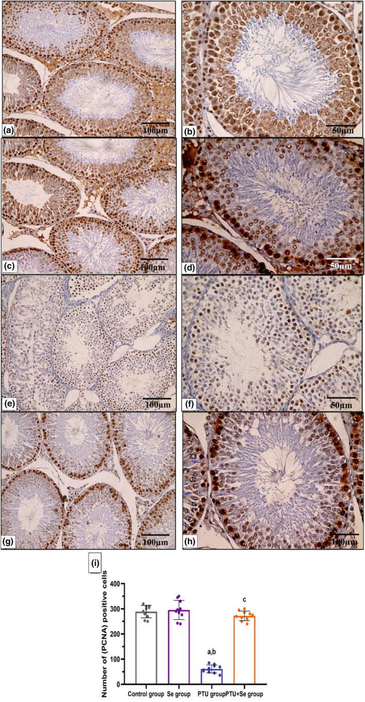 PMC10808778 – phy215923-fig-0008