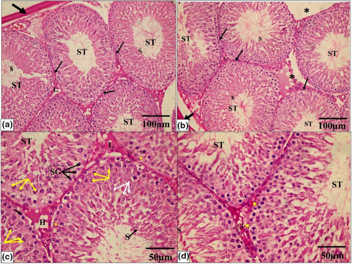 PMC10808778 – phy215923-fig-0006