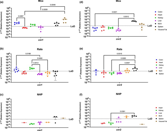 PMC10896677 – phy215947-fig-0001