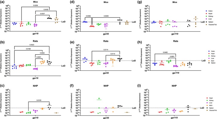 PMC10896677 – phy215947-fig-0003