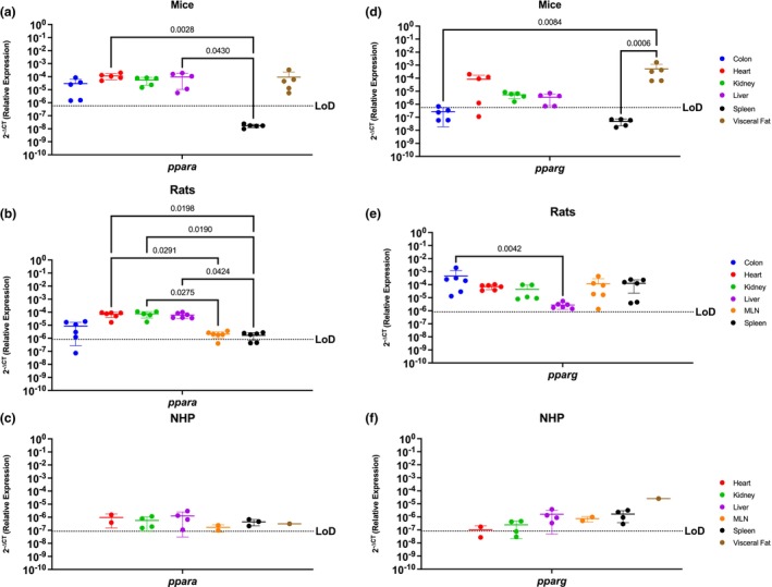 PMC10896677 – phy215947-fig-0002