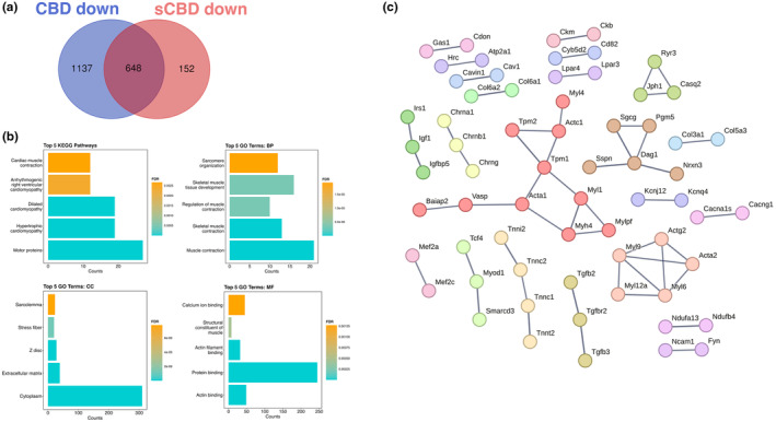 PMC11407902 – phy270059-fig-0006