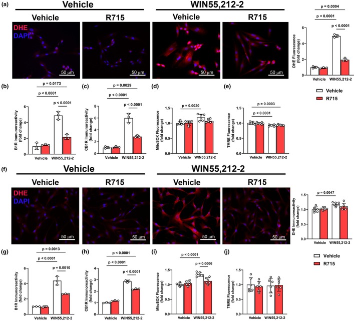PMC12450756 – phy270579-fig-0003
