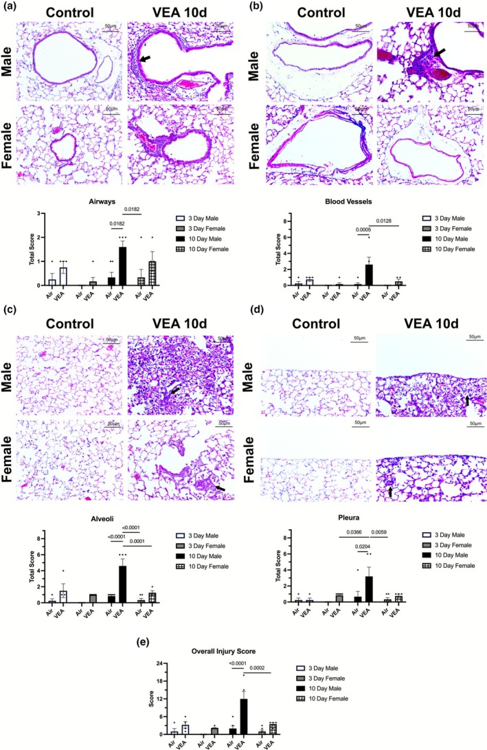 PMC12698385 – phy270691-fig-0004