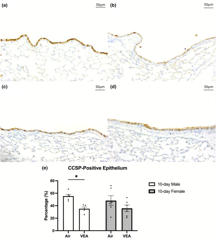 PMC12698385 – phy270691-fig-0005