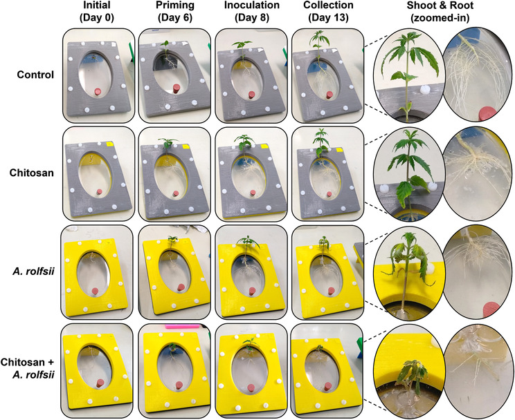 PMC10485662 – pld3528-fig-0002