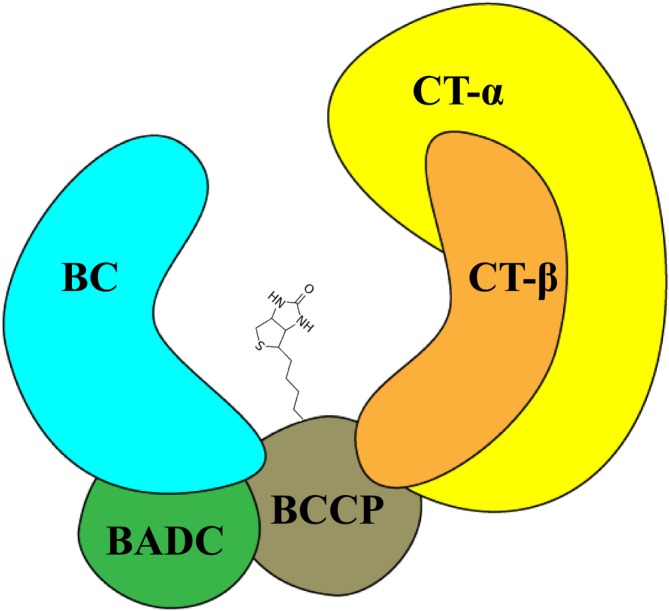 PMC11926652 – pld370057-fig-0001