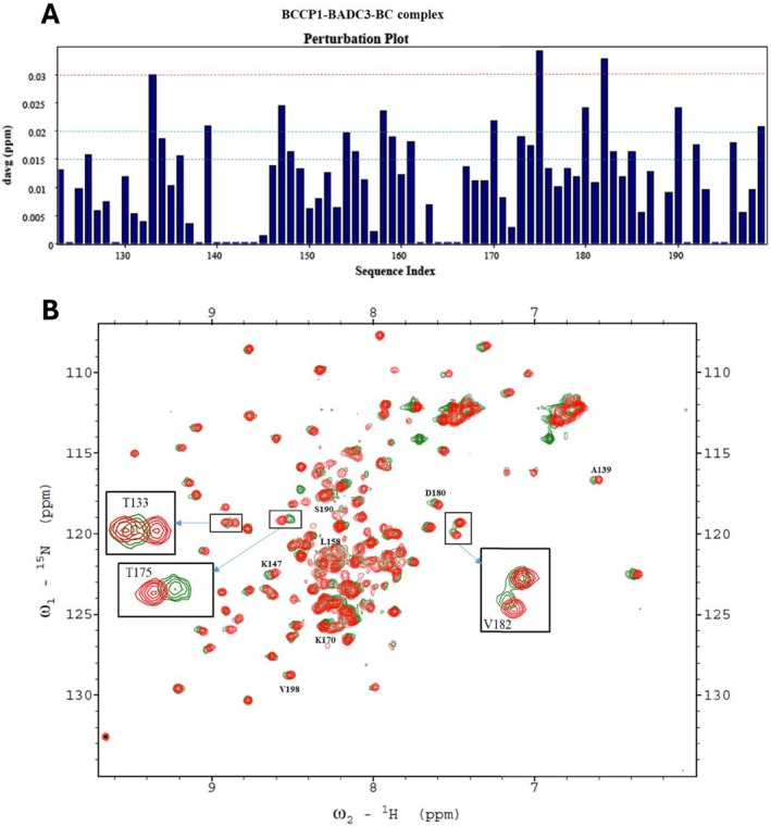 PMC11926652 – pld370057-fig-0010