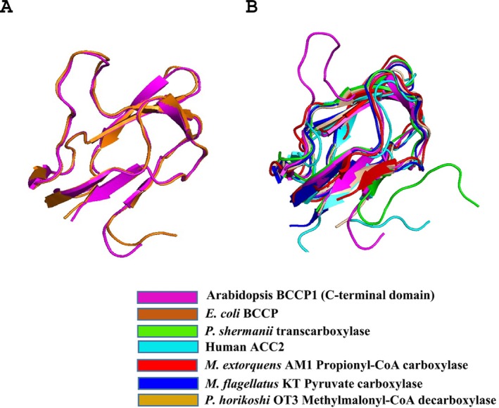 PMC11926652 – pld370057-fig-0007