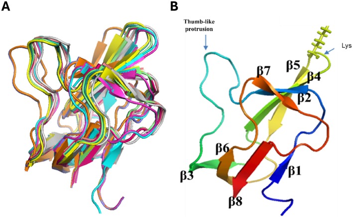 PMC11926652 – pld370057-fig-0006