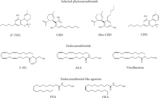 PMC12237567 – fig1