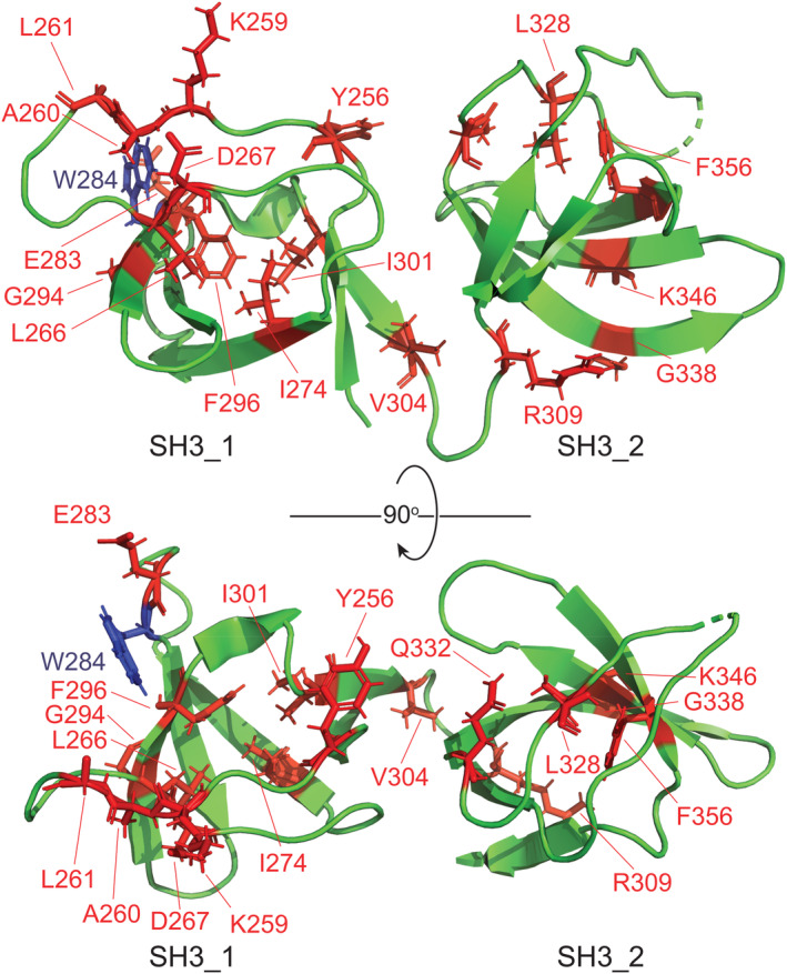 PMC9019556 – pro4311-fig-0005