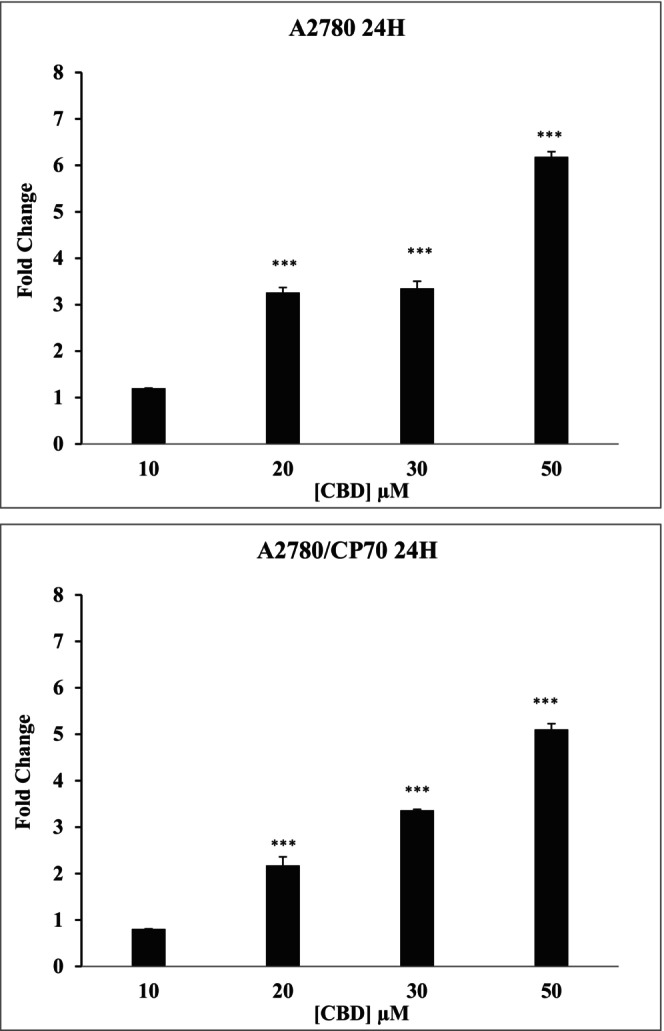 PMC10723784 – prp21152-fig-0007