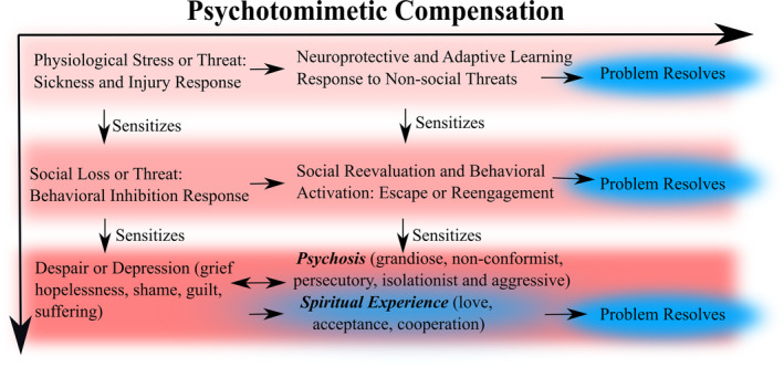 PMC11194300 – prp21217-fig-0001